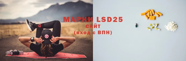 ГАЛЛЮЦИНОГЕННЫЕ ГРИБЫ Алзамай