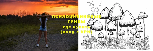 ГАЛЛЮЦИНОГЕННЫЕ ГРИБЫ Алзамай